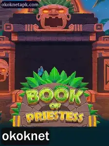 Explorando o Fascinante Mundo de BookOfPriestess